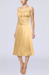 Simple Sleeveless Zip up Chiffon Tea Length Prom Dresses