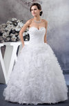 Ball Gown Bridal Gowns Fall Expensive Gorgeous Country Organza Strapless