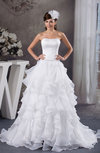 Luxury Bridal Gowns Elegant Western Gorgeous Amazing Low Back Cinderella