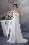 Affordable Evening Dress Long Chiffon Full Figure Open Back for Less Chic
