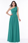 Traditional A-line One Shoulder Sleeveless Chiffon Floor Length Plus Size Bridesmaid Dresses