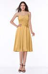 Modern A-line Sleeveless Zip up Tea Length Plus Size Bridesmaid Dresses