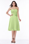 Modern A-line Sleeveless Zip up Tea Length Plus Size Bridesmaid Dresses