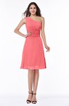 Informal A-line Asymmetric Neckline Sleeveless Chiffon Ruching Plus Size Bridesmaid Dresses