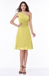 Informal A-line Asymmetric Neckline Sleeveless Chiffon Ruching Plus Size Bridesmaid Dresses