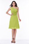 Informal A-line Asymmetric Neckline Sleeveless Chiffon Ruching Plus Size Bridesmaid Dresses