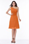 Informal A-line Asymmetric Neckline Sleeveless Chiffon Ruching Plus Size Bridesmaid Dresses