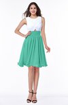 Cute A-line Sleeveless Zipper Chiffon Ruching Plus Size Bridesmaid Dresses