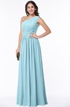 Elegant Asymmetric Neckline Chiffon Floor Length Pleated Plus Size Bridesmaid Dresses