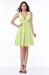 Sexy A-line Sleeveless Short Pleated Plus Size Bridesmaid Dresses