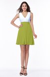 Casual A-line Sleeveless Zip up Pleated Plus Size Bridesmaid Dresses