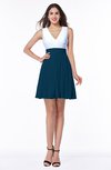 Casual A-line Sleeveless Zip up Pleated Plus Size Bridesmaid Dresses