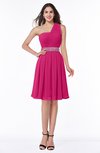 Modern Sleeveless Half Backless Chiffon Knee Length Pleated Plus Size Bridesmaid Dresses