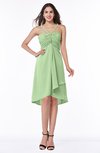 Simple A-line Spaghetti Zip up Chiffon Ruching Plus Size Bridesmaid Dresses