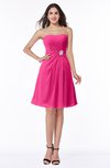 Modern Sleeveless Zip up Chiffon Mini Plus Size Bridesmaid Dresses