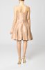 Informal A-line Sleeveless Zipper Pleated Club Dresses