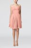 Simple Sleeveless Zip up Chiffon Pleated Graduation Dresses