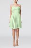 Simple Sleeveless Zip up Chiffon Pleated Graduation Dresses