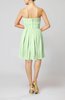 Simple Sleeveless Zip up Chiffon Pleated Graduation Dresses