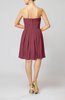 Simple Sleeveless Zip up Chiffon Pleated Graduation Dresses