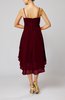 Modern A-line Sleeveless Zipper Chiffon Hi-Lo Party Dresses