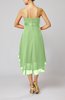 Modern A-line Sleeveless Zipper Chiffon Hi-Lo Party Dresses