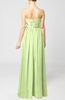 Plain Column Zipper Chiffon Floor Length Wedding Guest Dresses