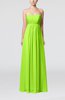 Plain Empire Sleeveless Zip up Floor Length Wedding Guest Dresses
