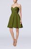 Cinderella A-line Sleeveless Backless Chiffon Pleated Graduation Dresses