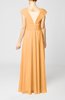 Elegant Sheath Sleeveless Chiffon Pleated Mother of the Bride Dresses
