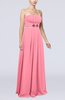 Plain Sleeveless Zip up Chiffon Floor Length Flower Evening Dresses