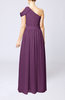 Romantic One Shoulder Zipper Chiffon Floor Length Ruching Evening Dresses