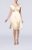 Plain A-line Short Sleeve Zip up Satin Knee Length Little Black Dresses