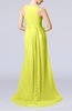 Plain A-line V-neck Zip up Court Train Pleated Evening Dresses