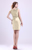 Modern V-neck Zip up Short Ruching Cocktail Dresses