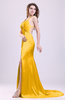 Gorgeous Sheath Thick Straps Sleeveless Criss-cross Straps Court Train Prom Dresses