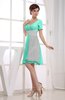 Hawaiian V-neck Short Sleeve Zip up Knee Length Party Dresses