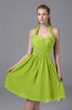 Modest Halter Sleeveless Chiffon Knee Length Ruching Party Dresses