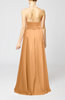 Elegant A-line Sleeveless Zip up Floor Length Evening Dresses