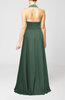 Elegant A-line Sleeveless Zip up Floor Length Evening Dresses