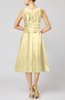 Simple Sleeveless Zip up Chiffon Tea Length Prom Dresses