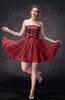 Modern A-line Sleeveless Chiffon Mini Cocktail Dresses
