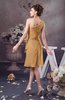 Chiffon Bridesmaid Dress One Shoulder Full Figure Informal Formal Modern