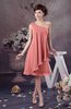 Chiffon Bridesmaid Dress One Shoulder Full Figure Informal Formal Modern