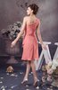 Chiffon Bridesmaid Dress One Shoulder Full Figure Informal Formal Modern