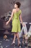 Chiffon Bridesmaid Dress One Shoulder Full Figure Informal Formal Modern