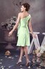 Chiffon Bridesmaid Dress One Shoulder Full Figure Informal Formal Modern