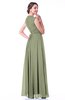Classic A-line Zipper Chiffon Pleated Plus Size Prom Dresses
