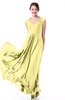 Classic A-line Zipper Chiffon Pleated Plus Size Prom Dresses