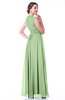 Classic A-line Zipper Chiffon Pleated Plus Size Prom Dresses